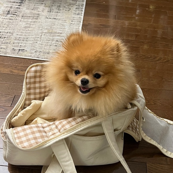 Meet your Posher, Lauren - Picture 1 of 1